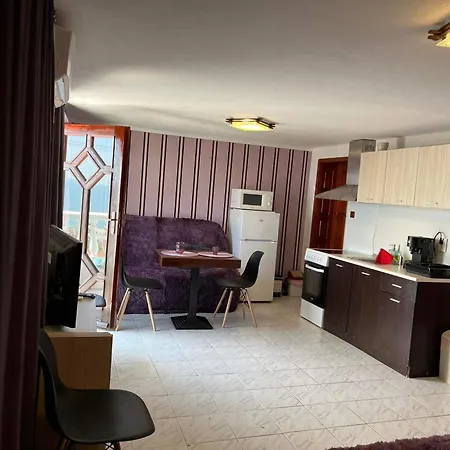 Nikoleta スヴェティ・ヴラス